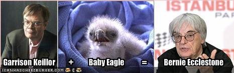 [baby+eagle.bmp]