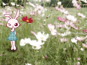 [Miss_Bunny__s_Wallpaper_by_Degard.jpg]