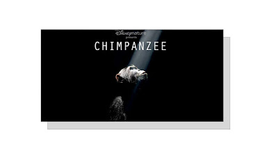 Création du label Disneynature DN+Chimpanzee