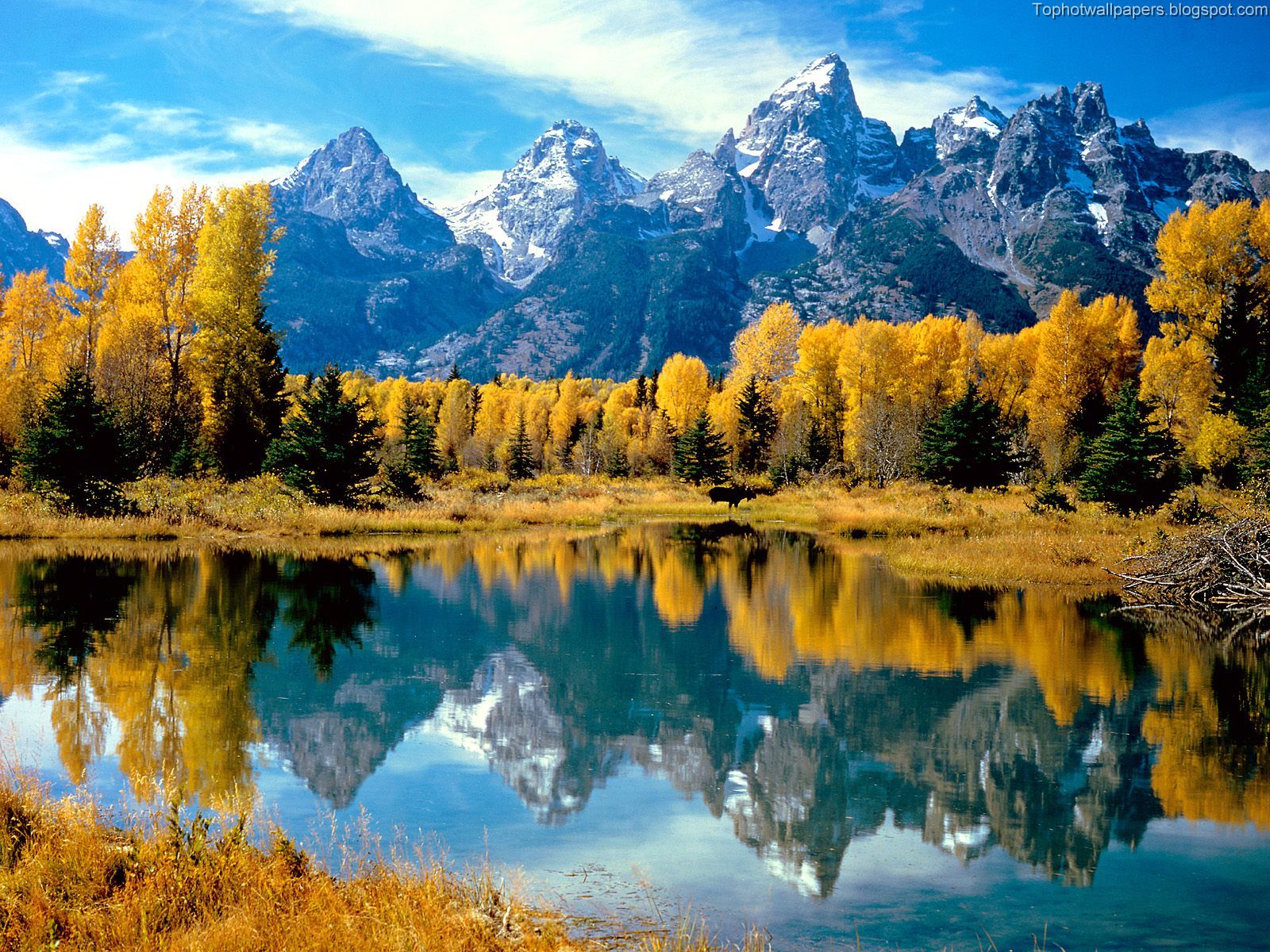 [Autumn+Grandeur,+Grand+Teton+National+Park,+Wyoming.jpg]