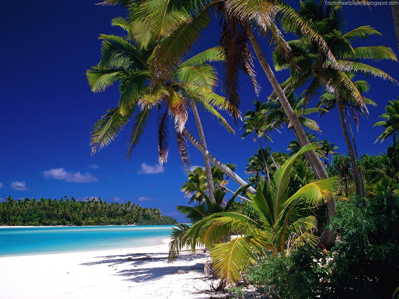 [Aitutaki+Lagoon,+Cook+Islands.jpg]