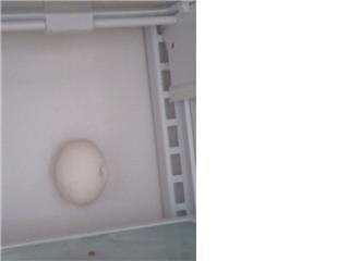 [egg+in+fridge.jpg]