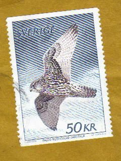 [Swedish+gyrfalcon+stamp.jpg]