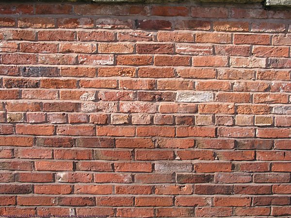 [brick_wall.jpg]