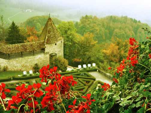 [red+flowers+and+the+castle.jpg]