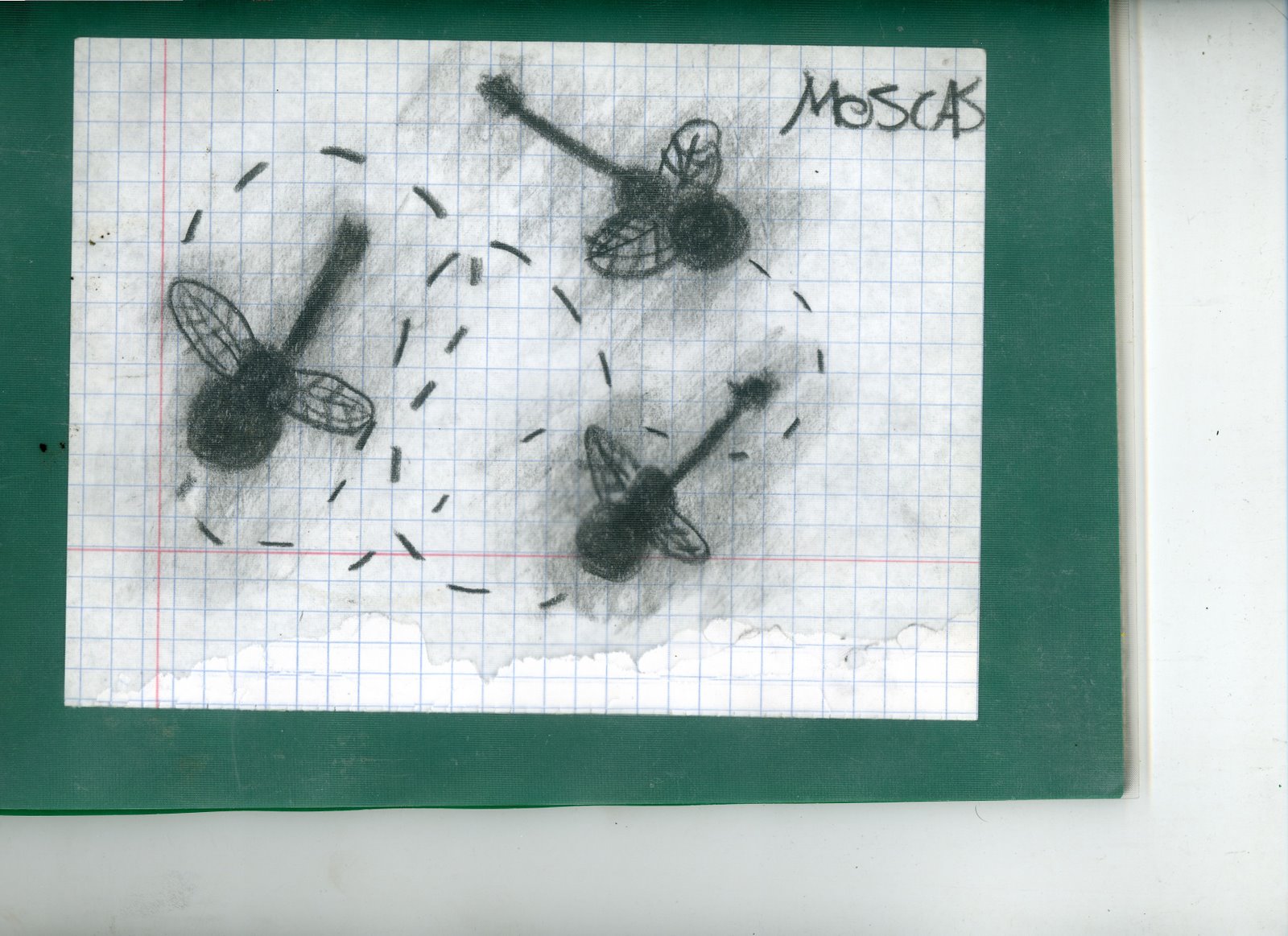 [moscas.jpg]