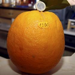 [naranja--250x250.JPG]
