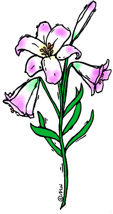 [lillies-color.gif]