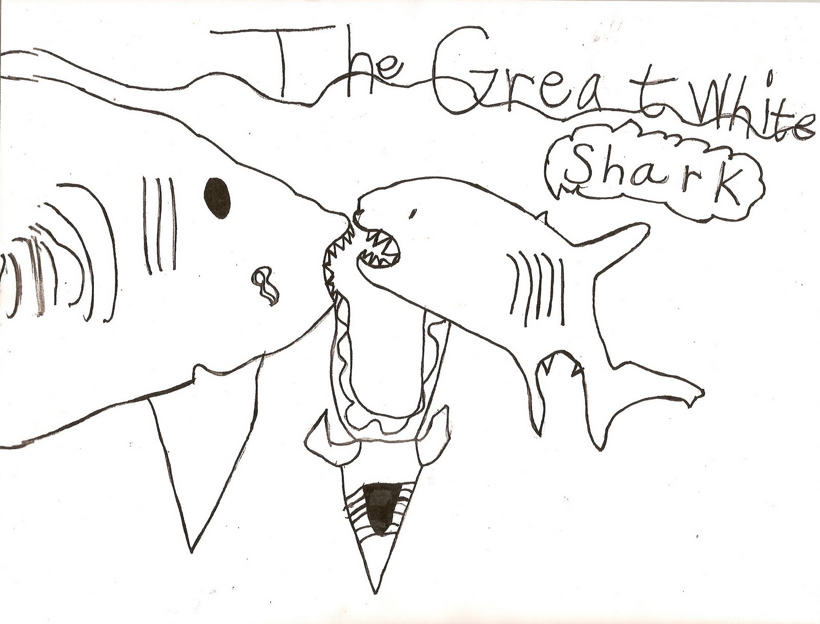[shark+drawing.jpg]