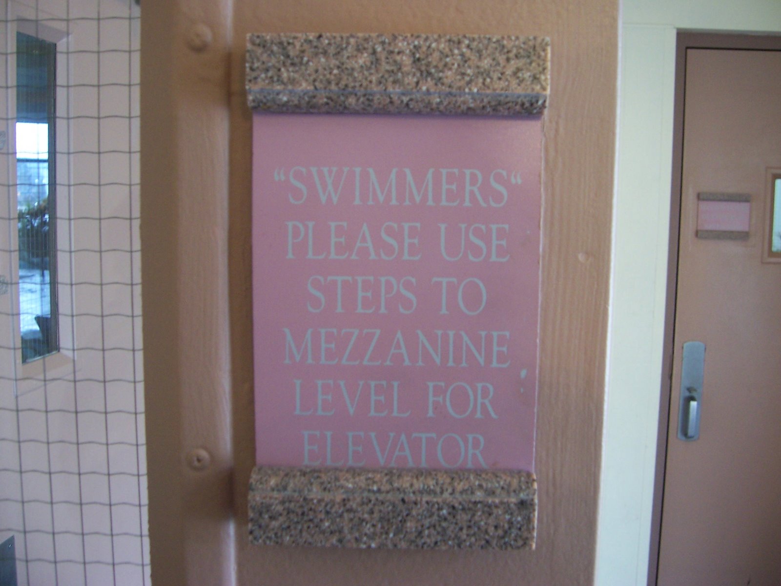 [swimmers.JPG]