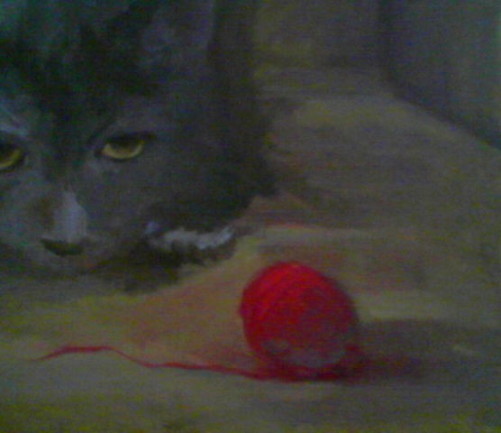 [Michelle+Gs+cat+with+ball.jpg]