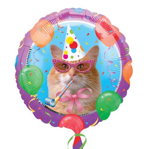 [Cats-Meow-Birthday.jpg]