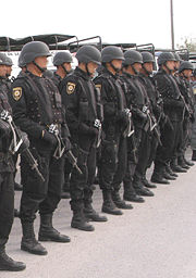 [180px-Mexican_PFP_police.jpg]