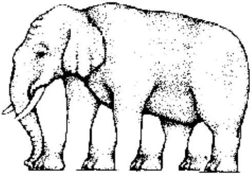 [elefante.jpg]