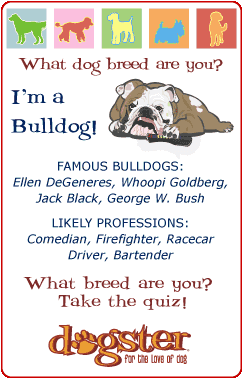 [badge_bulldog.png]
