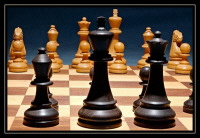 [chess1.jpg]