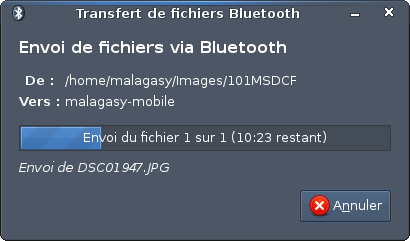 [Capture-Transfert+de+fichiers+Bluetooth.png]