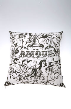 [amour+pillow.jpg]