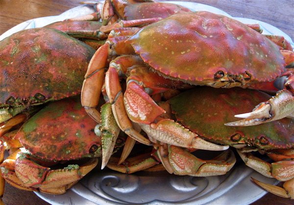 [crabs.jpg]