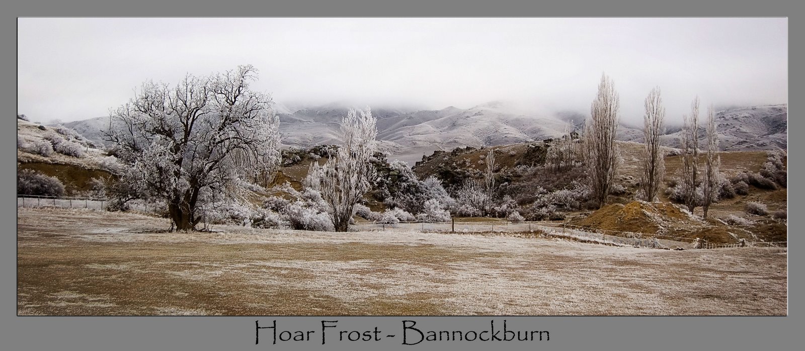 [Hoar+Frost+Bannockburn.jpg]