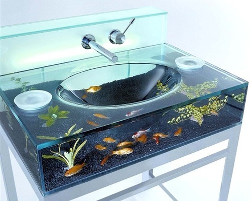 [aquarium+sink.jpg]