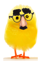 [groucho_chick_tiny.PNG]