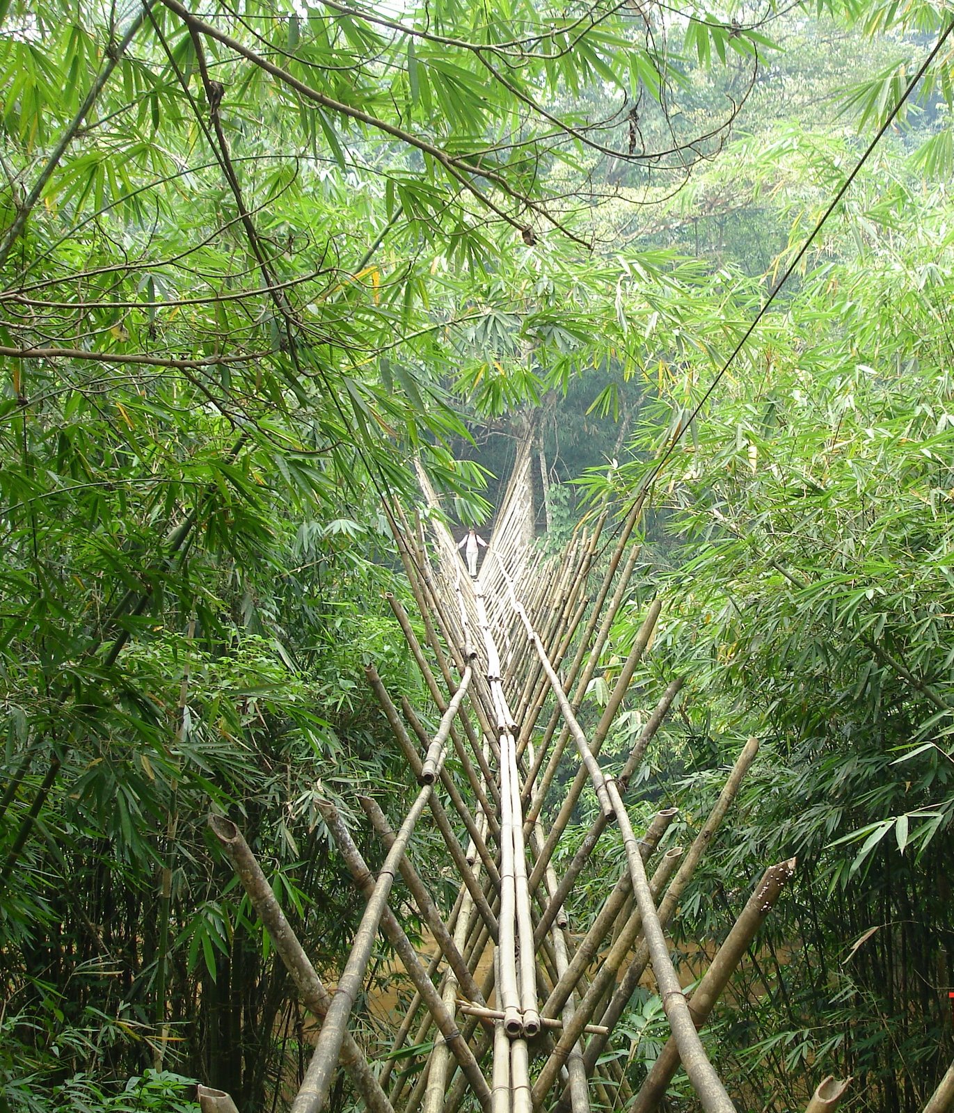 [bamboo+bridge+1.JPG]
