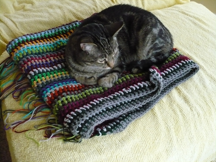 [crochet.blanket.10.07.jpg]