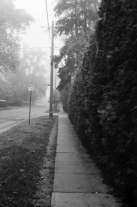[Misty+Morning.jpg]