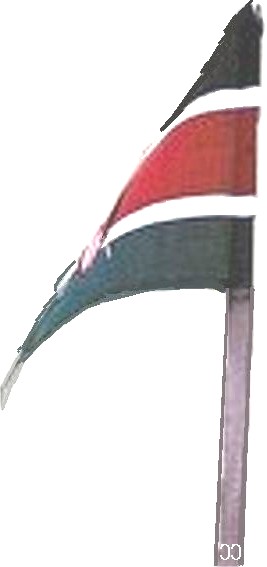 [CcKenyan+flag2.jpg]
