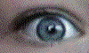 [eye-01.gif]