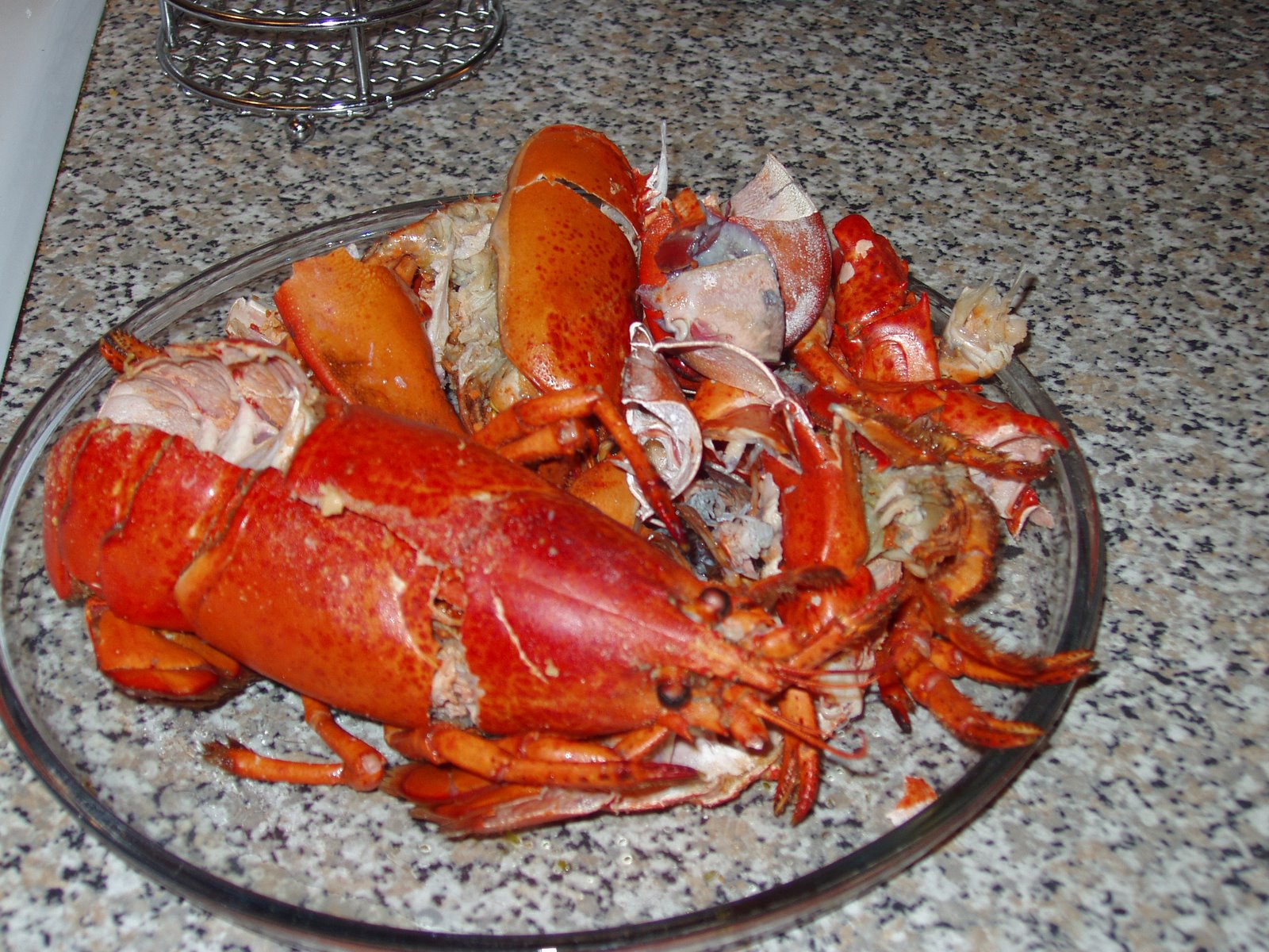 [two+ex-lobsters.JPG]