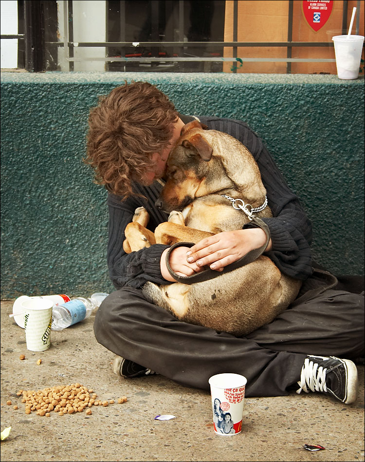 [homeless_sleeping_dog.jpg]