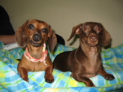 Sophie (left) and Savannah (right)--(The Weins!)