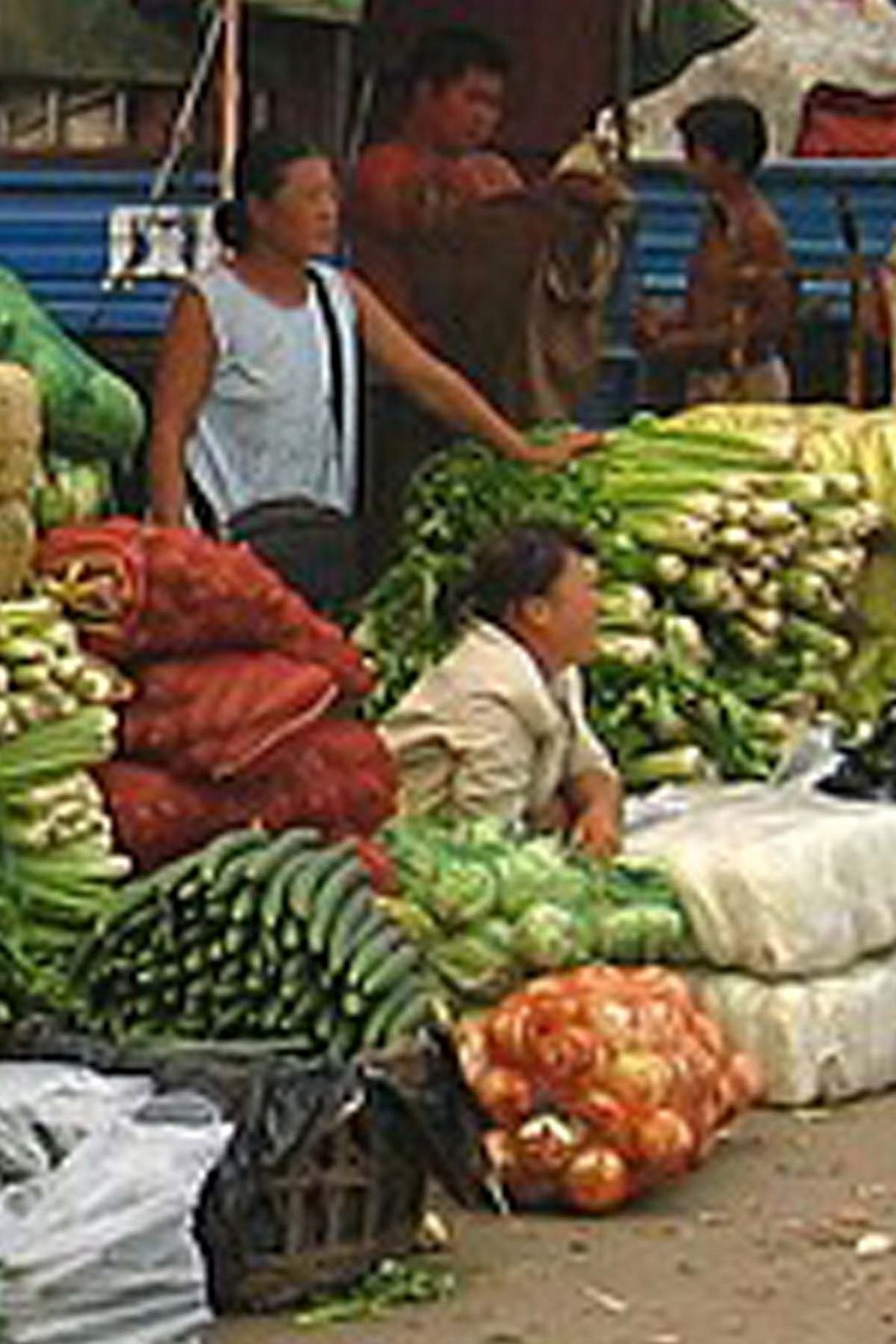 [Colombia+market.jpg]