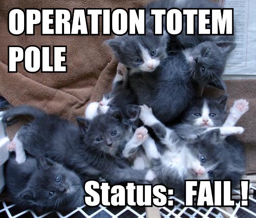 [operation-totem-pole-status-fail.jpg]