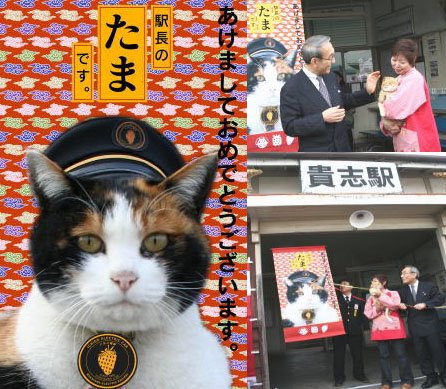 [stationmaster-cat.jpg]