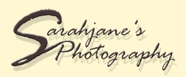 Sarahjane's Photography