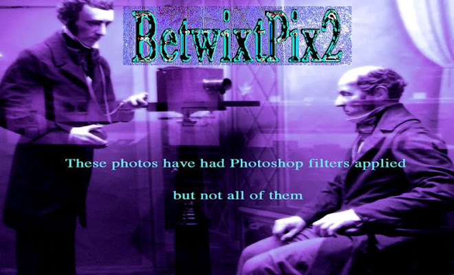 betwixtpix2
