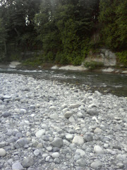 The river