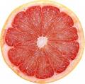 [grapefruit+image.jpg]
