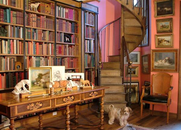 [home-library-with-staircase-and-dog.jpg]