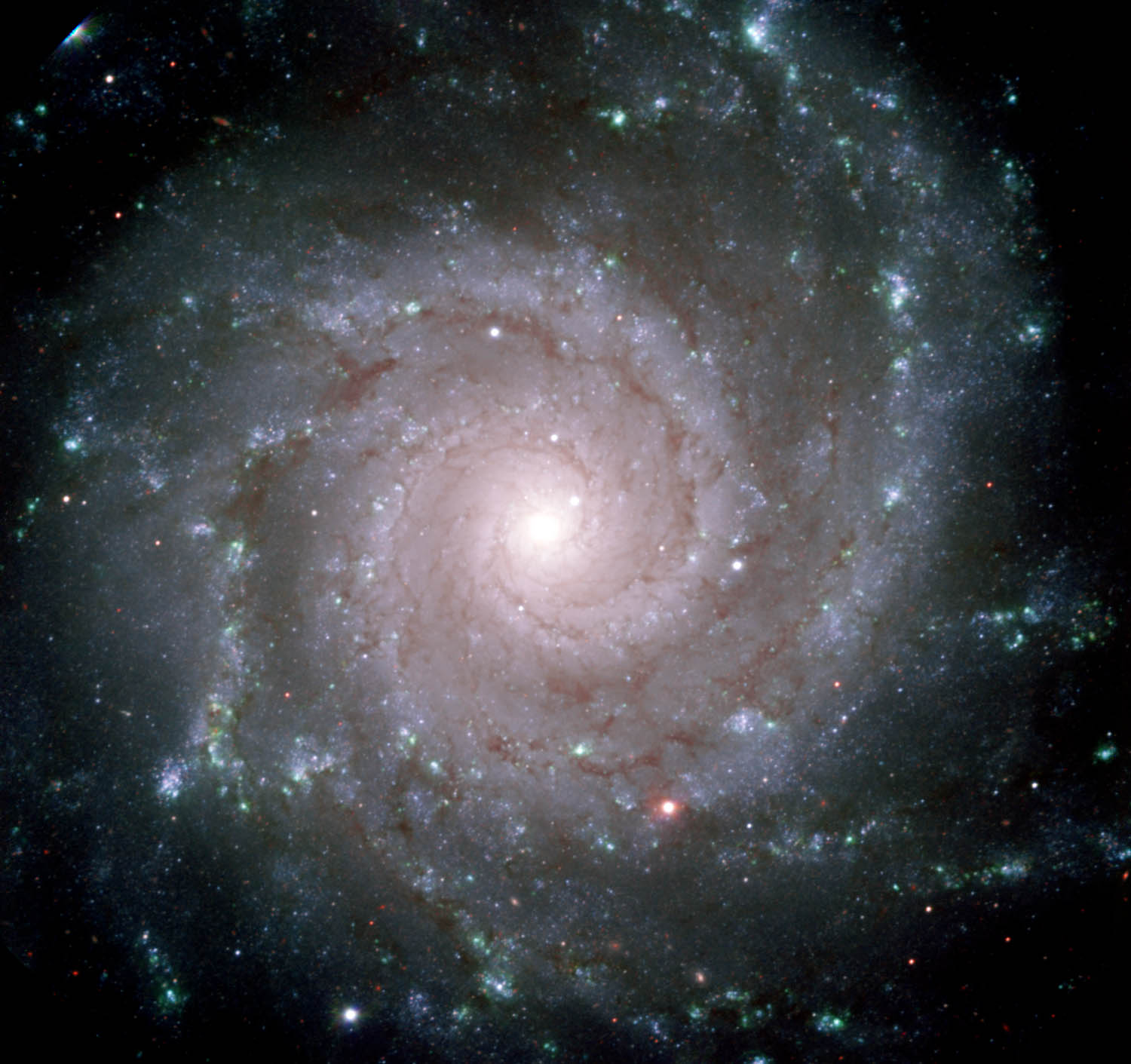 [galaxy-spiral-NGC628-Messier74-in-Pisces-taken-by-GMOS-telescope-in-Hawaii-ANON.jpg]
