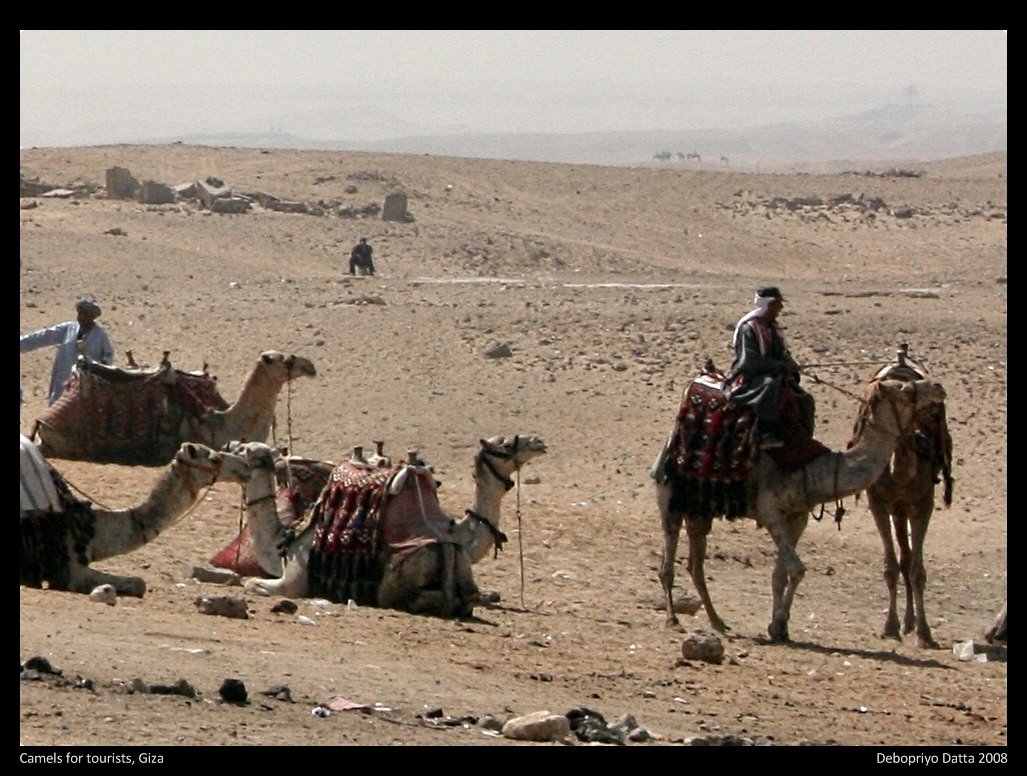 [Bedouins.jpg]