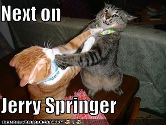 [funny-pictures-fighting-jerry-springer-cats.jpg]