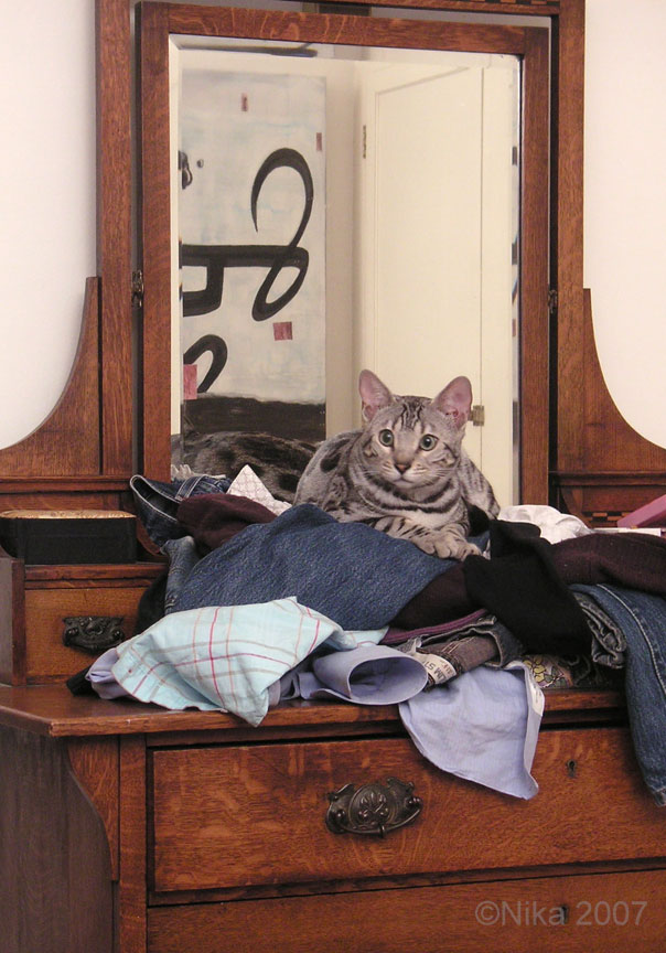 [king-o-laundry.jpg]