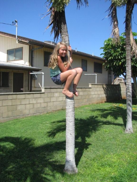Rachel climbs the palm tree
