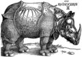 [120px-Dürer_-_Rhinoceros.jpg]