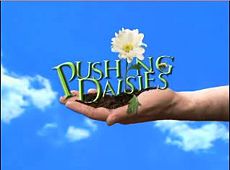 [230px-Pushing_Daisies_logo.jpg]