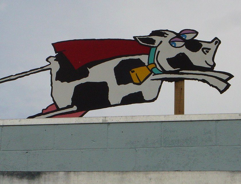 [2006+Austin+caped+cow+009.JPG]